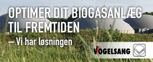 Vogelsang