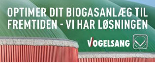 Vogelsang