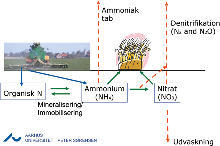 bioforgasning03