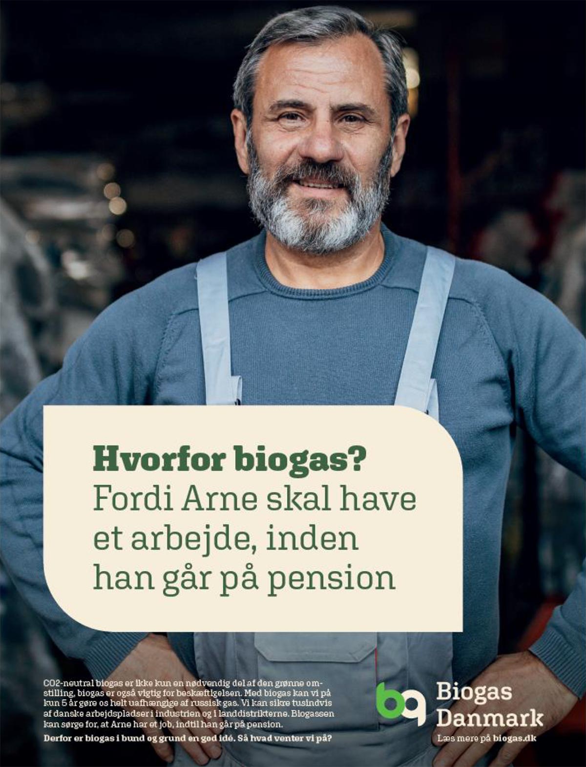 biogas arne
