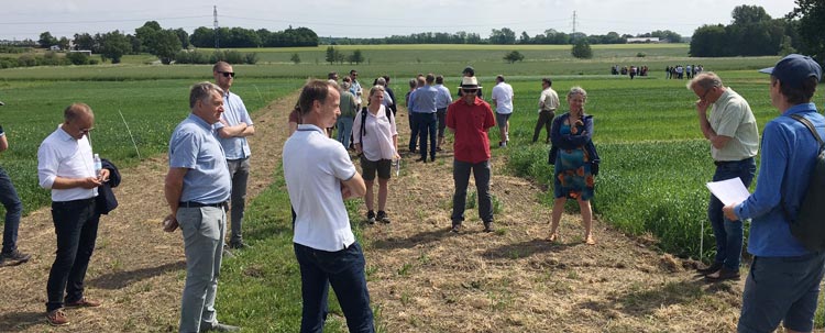 rundvisning i crucialmarken
